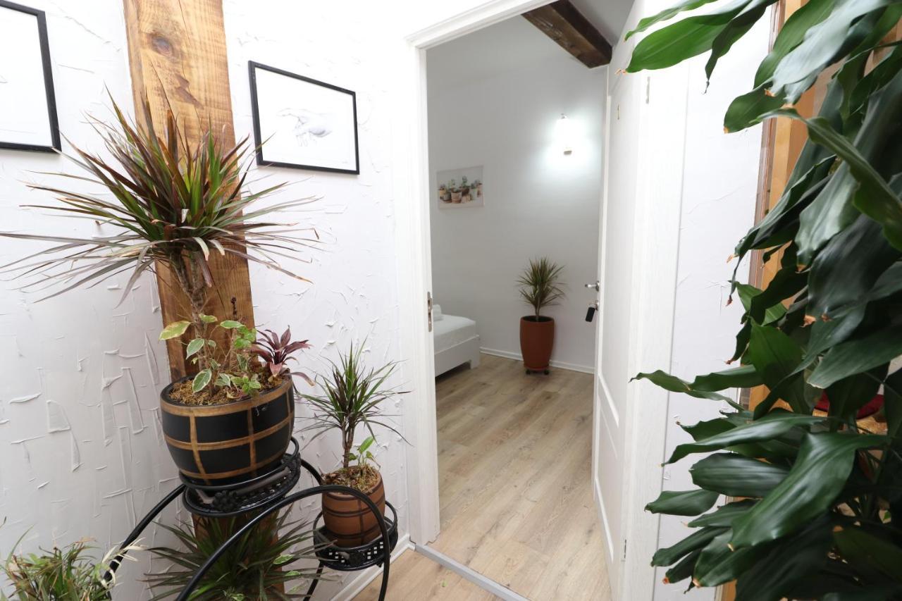 Gaia Acomodação com café da manhã Vlorë Exterior foto